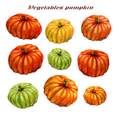 Watercolor illustration of vegetables, hand drawing.  Nine colorful pumpkins isolated on white background.  Vegetables, set of watercolor pumpkins.