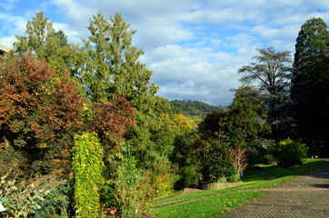 Botanischer Garten in Freiburg im Herbst