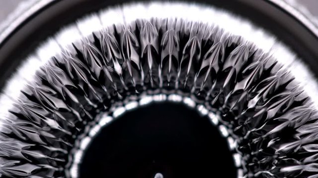 Ferrofluid or ferromagnetic fluid under the influence of sound waves (cymatics), begins to vibrate randomly, creating unusual patterns, close-up