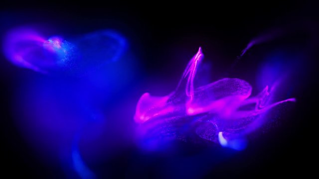 4k  Fluid particles. Liquid glowing multicolor neon dust. Fluid animation. Abstract background