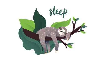 Cute lazy sloth sleeping on a branch of the tropical tree. Sleep type lettering. Vector calligraphy. Cartoon style, vector illustration. Slow down quote lettering. © Asya