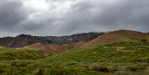 Hills of Denali