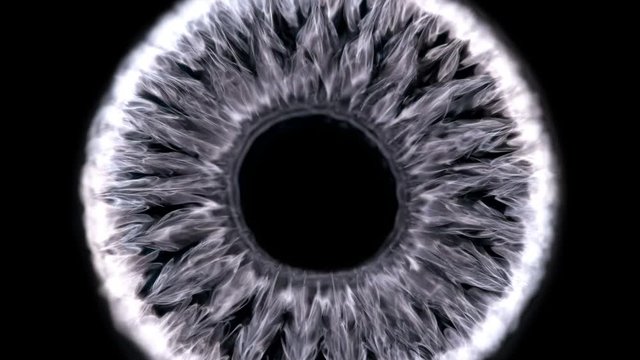 Ferrofluid or ferromagnetic fluid under the influence of sound waves (cymatics), begins to vibrate randomly, creating unusual patterns, close-up