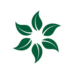 leaf ornament logo template, leaf vector element