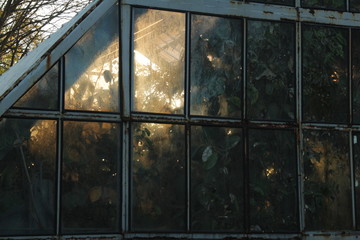 greenhouse