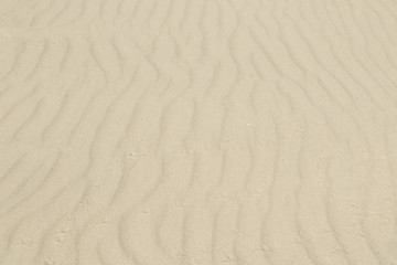 Fototapeta na wymiar Sand dunes close-up macro nature. White and yellow sand natural texture background