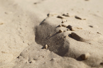 Sand dunes close-up macro nature. White and yellow sand natural texture background