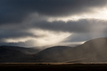 Sunlight penetrates through the clouds and illuminates a rain shower over the Svinadalur at Búðardalur in western Iceland.