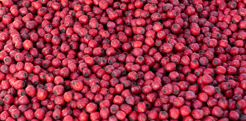 Hawthorn as background and texture