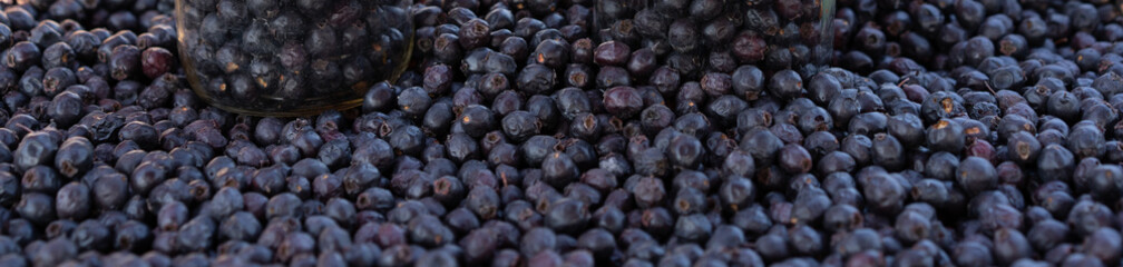 Hawthorn as background and texture