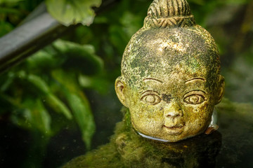 Obraz premium Child statue in the pool 