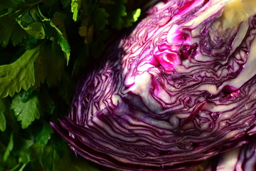 Fresh vegetables in the sunlight. Red cabbage and parsley. Vegetarian wholesome food. Red cabbage...