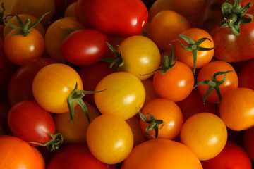 diverse Tomaten