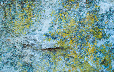 Natural stone background covered with moss in the forest.