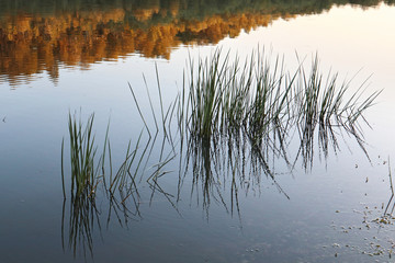 Glass river surface water plant grass reflection. Blue sky and water and central beautiful scenic tranquill sunset macro