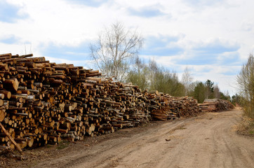 Logs stacked on logging and woodworking industry. A stock pile of timber, chopped down trees. Timber industry. De-forestation.