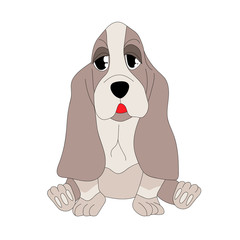  Vector cartoon cute Basset Hound puppy.