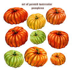 Watercolor illustration of vegetables, hand drawing.  Nine colorful pumpkins isolated on white background.  Vegetables, set of watercolor pumpkins.