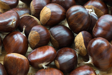 close-up of ripe sweet chestnuts