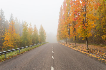 Obraz premium Empty asphalt road and trees in autumn colors