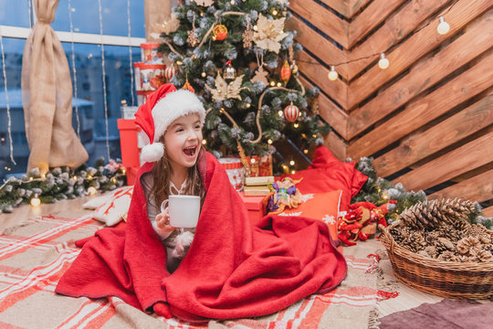 Beautiful Child In Santa Hat, Wrapped In Red Blanket Near Christmas Tree, With A Cup Of Cocoa, Looking Delighted And Pleased.