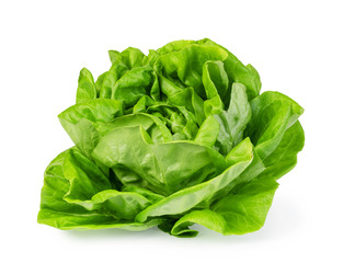 green butter lettuce - Powered by Adobe