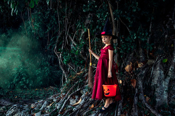 Little girl in a Halloween witch costume with a broom and a trick or treat bucket by a big dramatic fairy tale tree in a foggy forest 