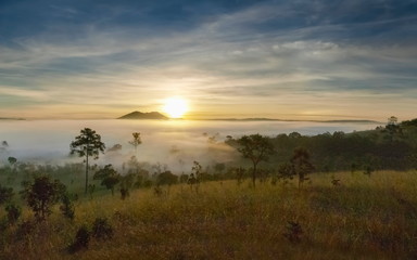 Mountain view misty morning on meadow around with sea of fog, peak mountain and yellow light light in cloudy sky background, sunrise at Thung Salang Luang National Park, Khao Kho, Phetchabun, Thailand