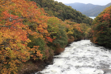 日光　竜頭ノ滝　Nikko　Ryuzu Falls