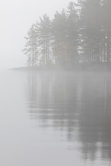 Trees reflection at lake foggy morning