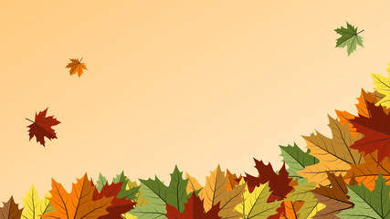 Naklejka na ściany i meble Fall background with colorful autumnal maple leaves. Vector banner with frames for sale, advertising, poster, web.