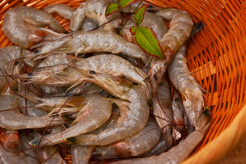 獲れたてシバエビ