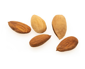 tasty almonds nuts isolated on white background
