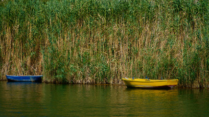Obraz premium abandoned old fishing boat among the reeds
