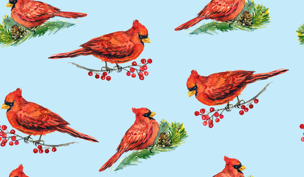 Cardinal birds on branches with red berries and pine twig, hand painted watercolor illustration, seamless pattern design on soft blue background