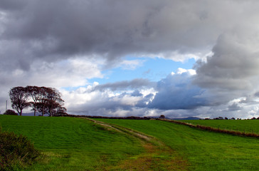 Wales : An autumn day in the Welsh countryside. Brooding, dark skies after a storm.  A muddy field after rain.