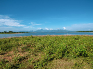 Green natural habitat at Castlereigh reservoir, surrounded by tea plantations in Sri Lanka