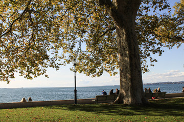 Herbst am Bodensee; Seepromenade in Bregenz