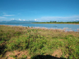 Fototapeta na wymiar Green natural habitat at Castlereigh reservoir, surrounded by tea plantations in Sri Lanka