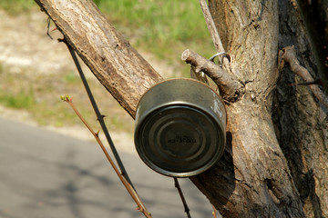 Der Baum und die Blechdose