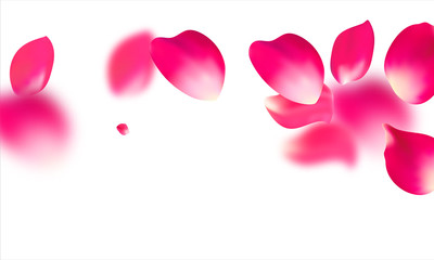 Pink falling petals falling. Rose flower pastel background.