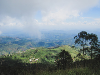 Green natural habitat at Castlereigh reservoir, surrounded by tea plantations in Sri Lanka