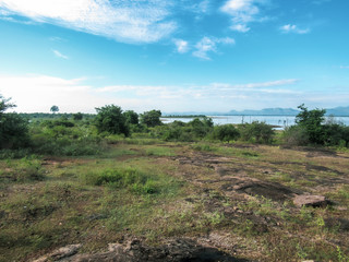 Green natural habitat at Castlereigh reservoir, surrounded by tea plantations in Sri Lanka