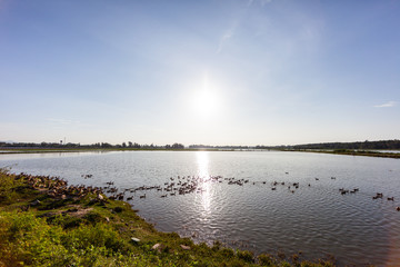 Fototapete bei efototapeten.de bestellen   