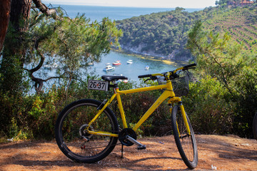 Fototapeta na wymiar A bike in the view of nature