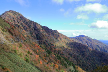 Fototapeta premium UFOラインで紅葉狩り（高知県）