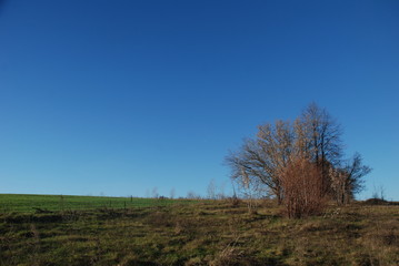 autumn landscape