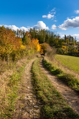Road through autumnal countryside with colorful trees