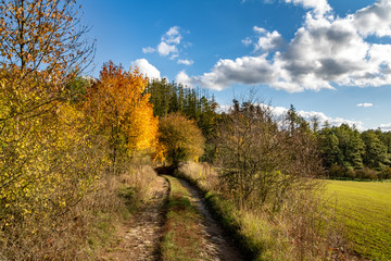 Fototapeta na wymiar Road through autumnal countryside with colorful trees