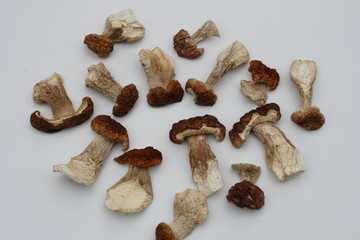 Pilzhälften getrocknet